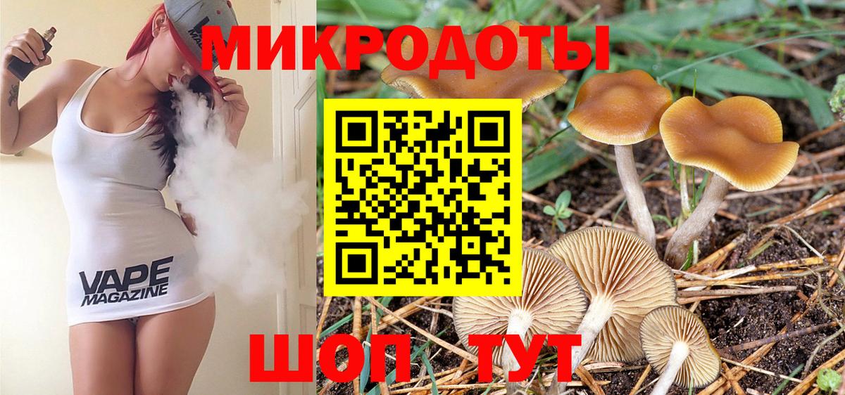 Галлюциногенные грибы Cubensis Рязань